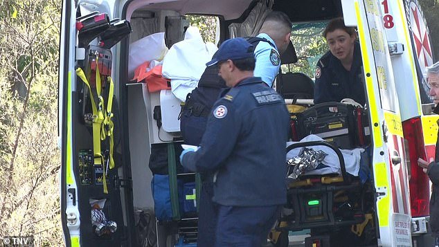 101496757-15055959-NSW_Police_found_the_trio_at_a_property_on_Myall_Avenue_at_Leura-a-9_175676241824.jpeg