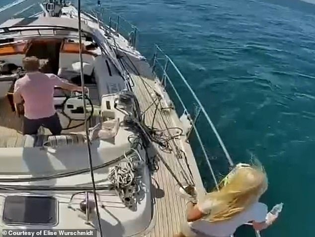 102280205-15115033-Elise_and_her_friends_tried_to_fend_off_the_orcas_attacking_the_-a-4_175829343657.jpeg