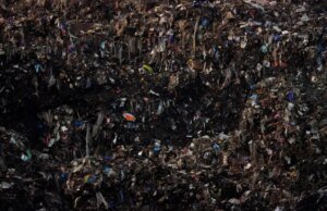 Como reduzir o desperdício de alimentos, que custa dinheiro, emite poluição