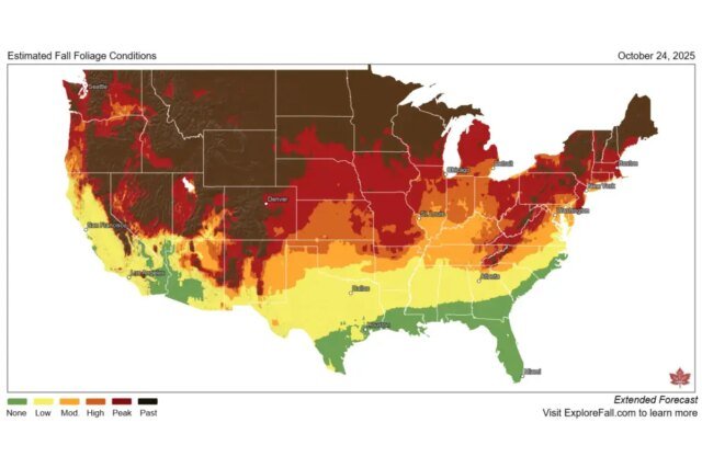 Several-states-are-experiencing-peak-color-according-to-Explore-Fall.jpg
