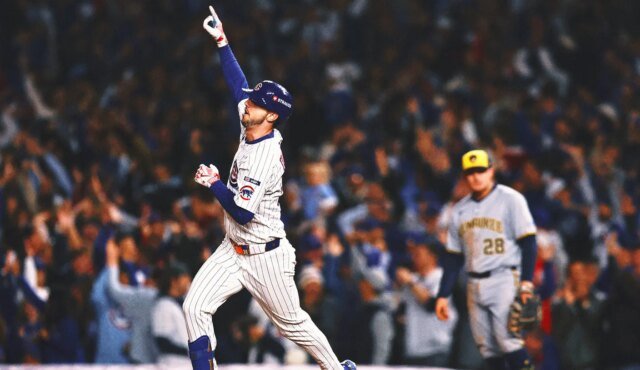 cubsmain.jpg