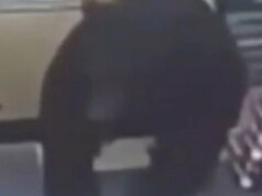 Baer perseguiu o menino dentro de uma loja de conveniência na Pensilvânia, filmado