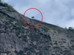 Um saltador de wingsuit sobrevive milagrosamente ao ser atingido por uma pedra enquanto lança um pára-quedas e cai inconsciente e em segurança.