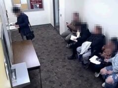 Equipe do principal senador democrata acusado de se passar por advogado imigrante ilegal para libertá-lo da custódia do ICE