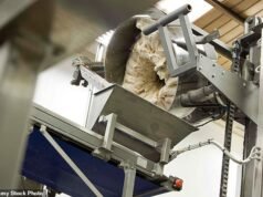 Um padeiro é estrangulado até a morte por sua própria máquina de fazer pão quando seu cachecol fica preso em uma amassadeira