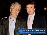 Enquete do Dia: Donald Trump deveria divulgar todos os arquivos de Epstein?