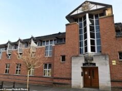 Pena para motorista alcoolizado quatro vezes acima do limite adiada após ida à Justiça