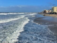 Pelo menos quatro pessoas morreram e cinco ficaram feridas em um terrível acidente de barco em uma praia de San Diego