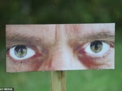 Vítimas de violência doméstica criticam o conselho por ‘acionar’ cartazes anti-lixo com ‘olhos masculinos assustadores’