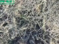 Demorou apenas 20 minutos para a Ucrânia retaliar contra a Rússia com um ataque de drone depois que os prisioneiros de guerra foram mortos a tiros