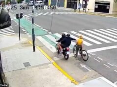 Novas imagens mostram o ladrão de telefone atingido pela ação imediata enquanto transeuntes correm para ajudar o turista depois que o ladrão pega seu dispositivo – e então é atacado por transeuntes