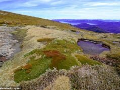 Duas jovens caminhantes saltam para um lugar seguro depois de ficarem presas durante a noite em uma montanha sob um clima terrível