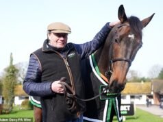 Constitution Hill está planejando um retorno no início da temporada após uma emocionante derrota em Newbury – poucos meses após a derrota do Champion Hurdle em Cheltenham.