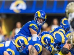 Negociar, escolher ou manter? O que fazer com esses quatro filhotes de fantasia gostosos