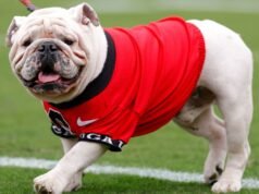 Geórgia e Oklahoma sobem para o Top 25 da AP; 5 equipes classificadas em três grupos