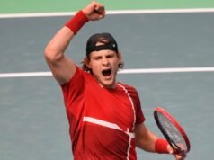 Bergs venceu a França e levou a Bélgica às semifinais da Copa Davis