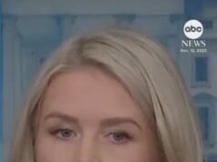 Vídeo WH Pressione seg. Levitt: E-mails de Epstein provam que Trump “não fez nada de errado”