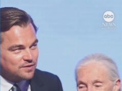 ASSISTIR: Leonardo DiCaprio elogia a primatóloga Jane Goodall