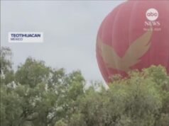 ASSISTA: Pilotos de balão de ar quente batem em árvores no México