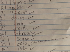 Enquanto os alunos da quarta série fazem testes de ortografia, a Internet não consegue responder a uma resposta