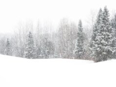 Alerta de tempestade de inverno enquanto 16 polegadas de neve caem no Nordeste