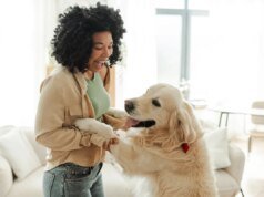 As raças de cães com mais velcro: 7 filhotes que nunca sairão do seu lado