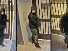 Procurados suspeitos de roubo de carro em São José