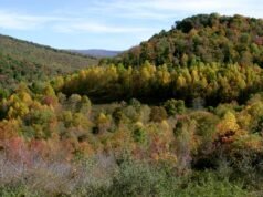 Mineiro de carvão desaparecido da Virgínia Ocidental é encontrado morto, diz governador
