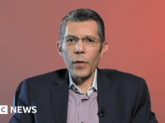 Empresa egípcia busca reduzir contas de energia