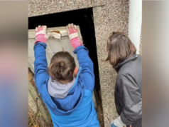 Mulher compra casa e encontra porta misteriosa no jardim, grande surpresa por trás dela