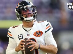 Os ursos provaram que são reais? | rebanho