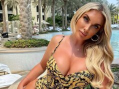 Atravesse o frio do inverno com uma foto quente do Brooklyn