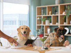 O veterinário revelou as 5 principais raças de cães que mais agem como pessoas