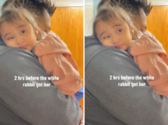 Mãe filma criança nos braços do pai, 2 horas depois suas vidas mudam para sempre